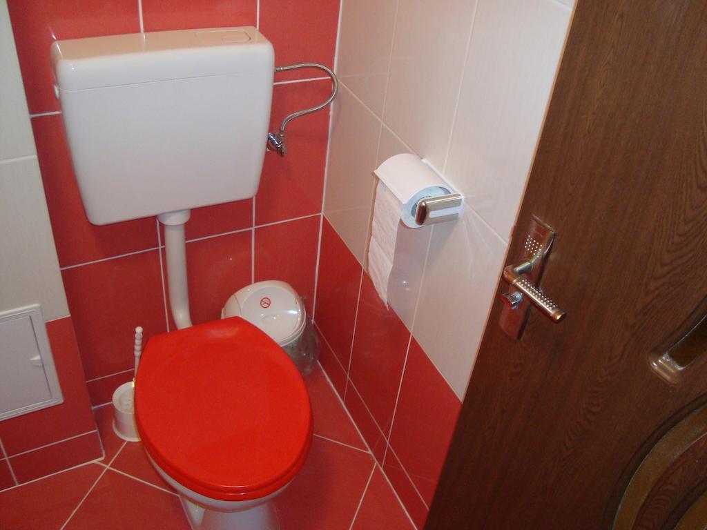 Apartament Miruna Sibiu Filarmonicii Номер фото