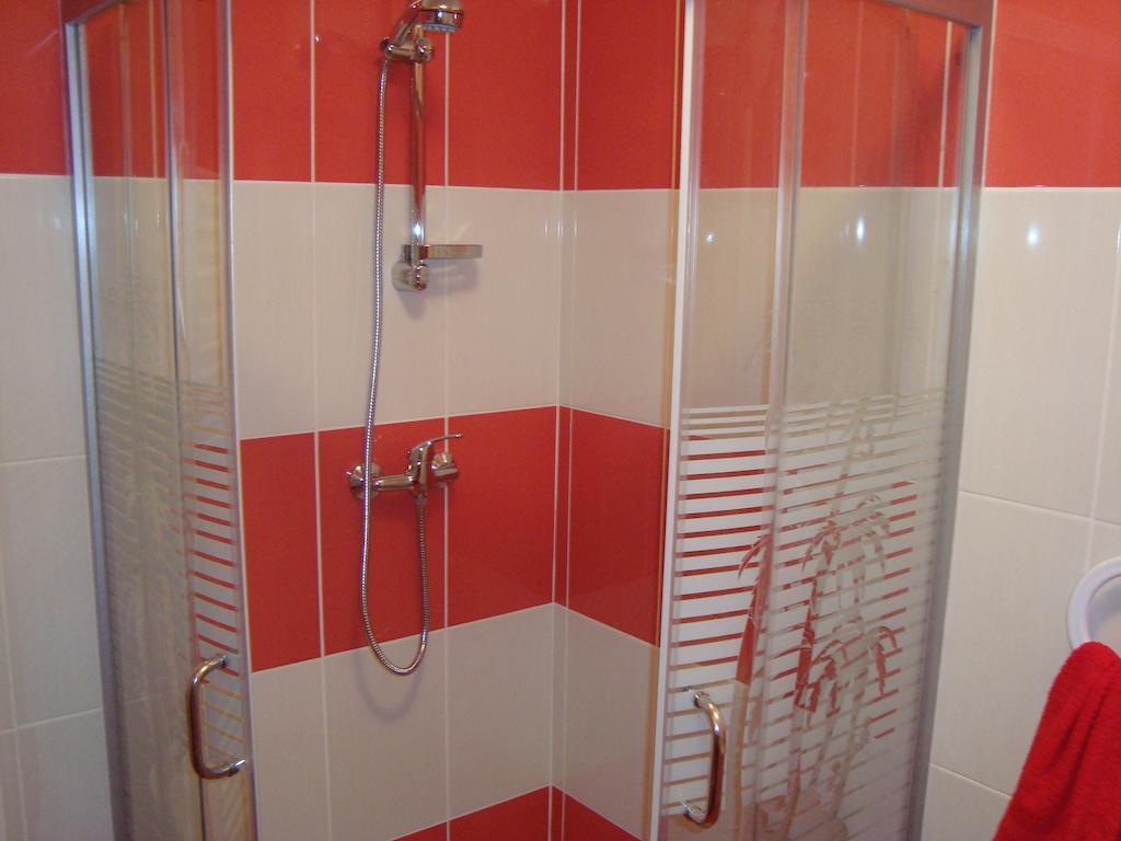 Apartament Miruna Sibiu Filarmonicii Номер фото